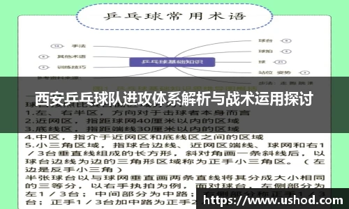 西安乒乓球队进攻体系解析与战术运用探讨