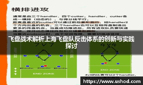 飞盘战术解析上海飞盘队反击体系的创新与实践探讨